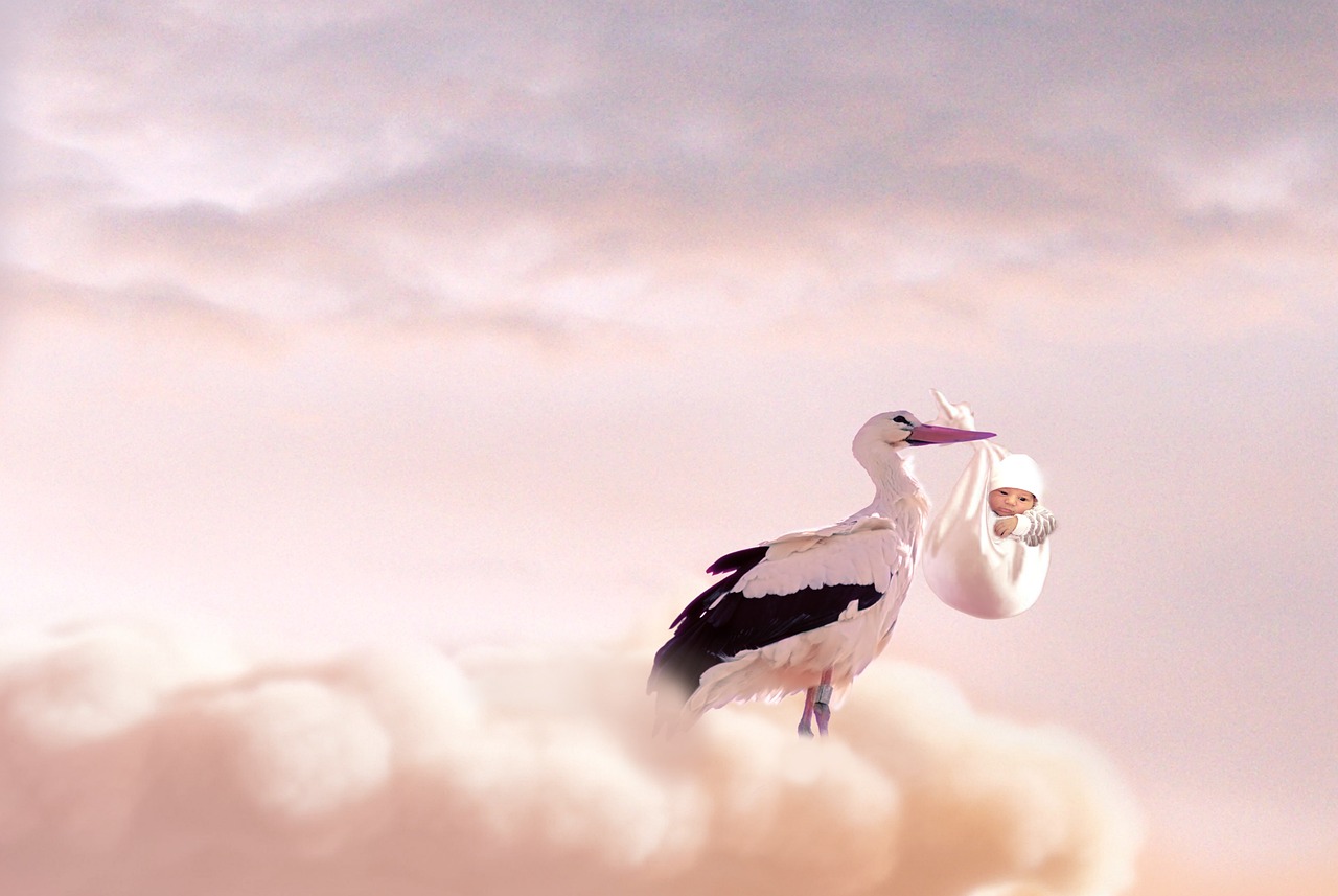 birth, baby, stork